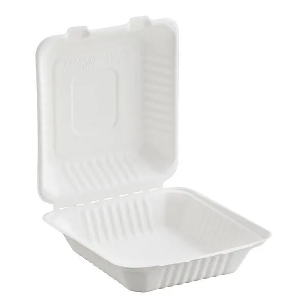 Bagasse Takeout Hinged Lid Containers - 9" x 9"
