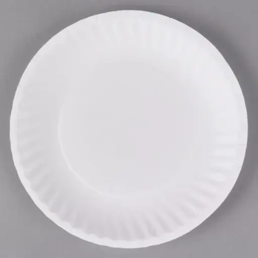 Uncoated Paper Plates - 6"