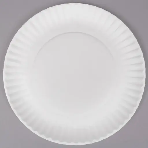Uncoated Paper Plates - 9"
