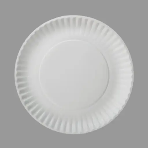 Coated Paper Plates - 9"